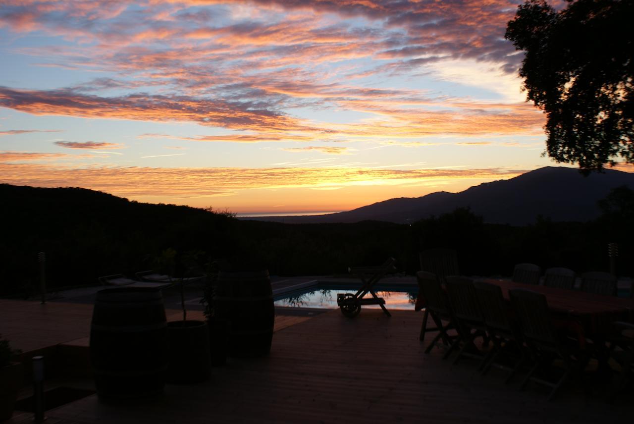 Mas La Marchette Bed & Breakfast Ceret Luaran gambar